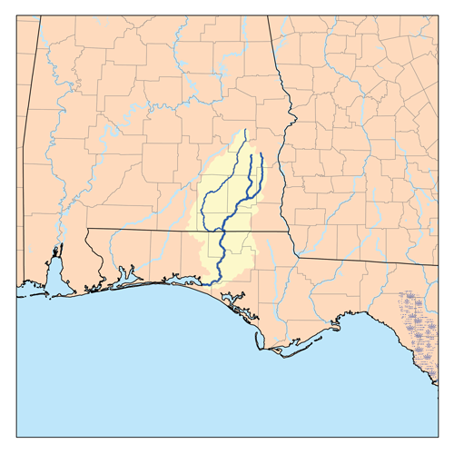 Choctawhatchee River